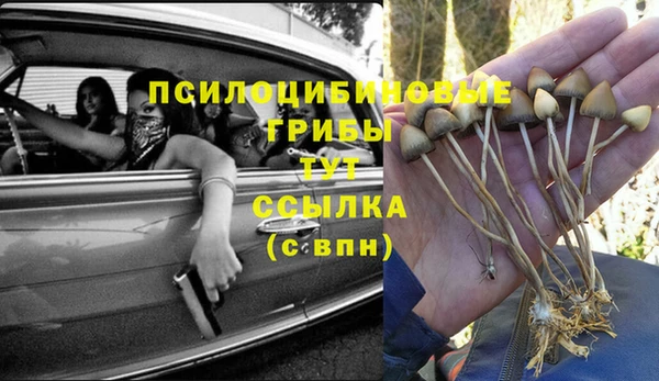 герыч Алексин