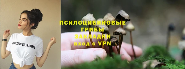 mix Абаза