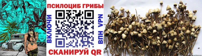 Псилоцибиновые грибы мицелий  Сургут 