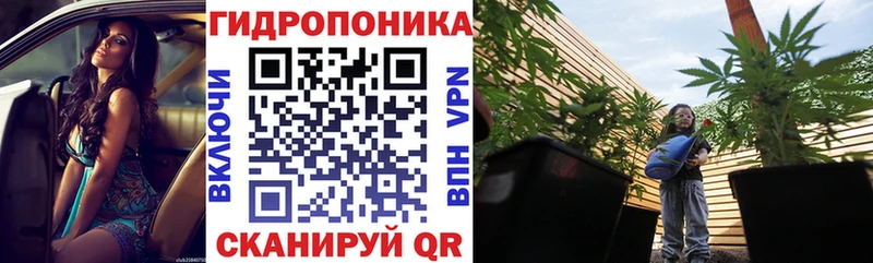 сколько стоит  Сургут  Конопля индика 